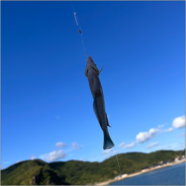 fishing